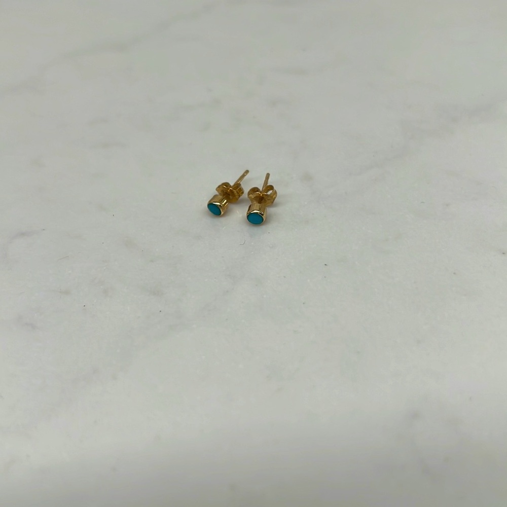 Zoe Chicco 14k Turquoise Bezel Studs